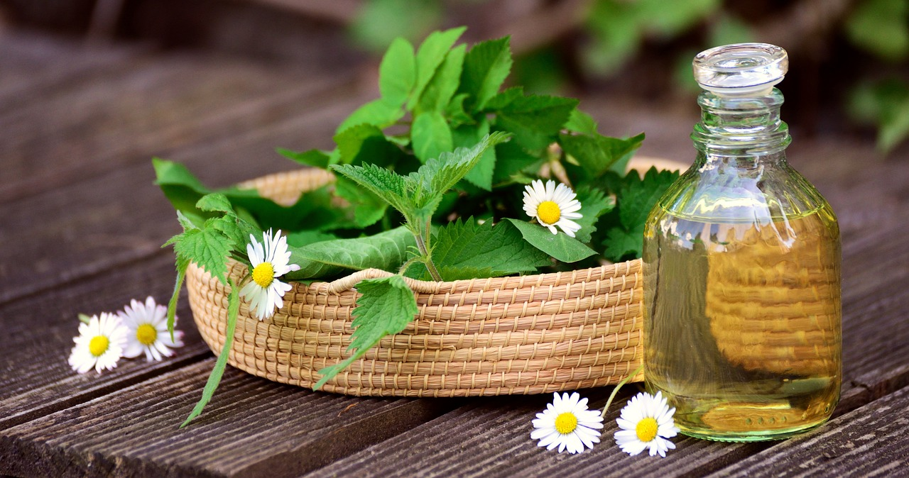 Medicinal Herbs for Women: Natural Companions for Your Cycle