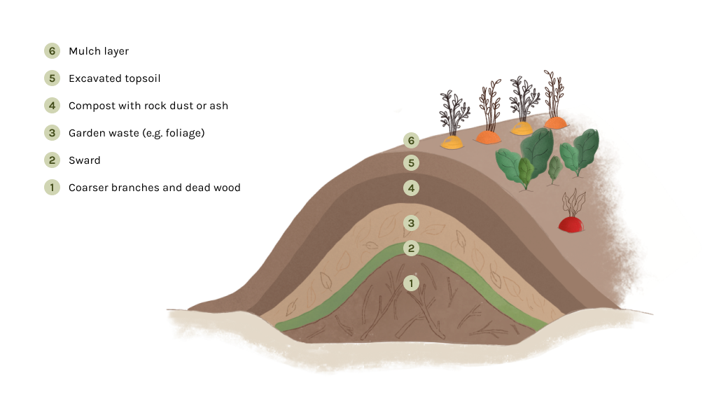 The different layers in a mound culture