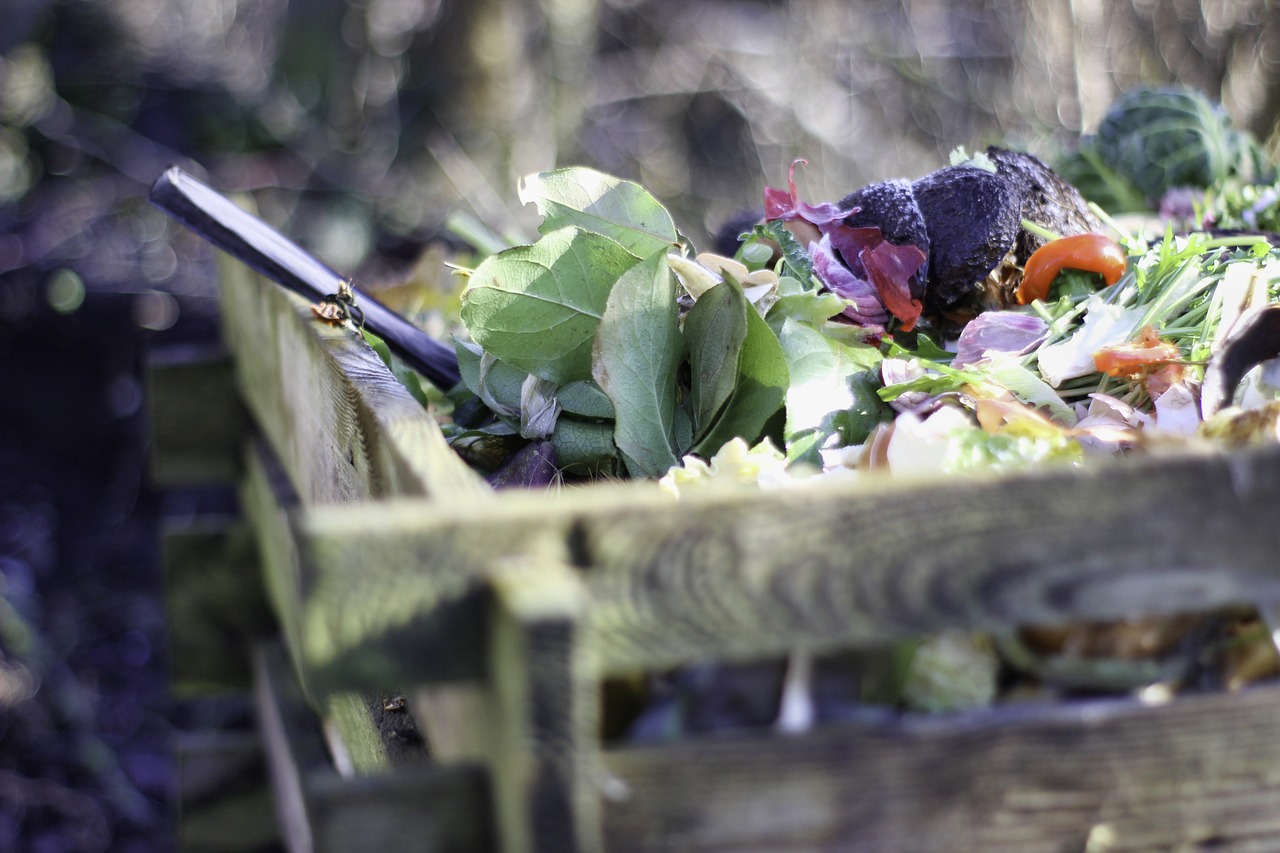 Kompost im Garten mit frischem Bioabfall