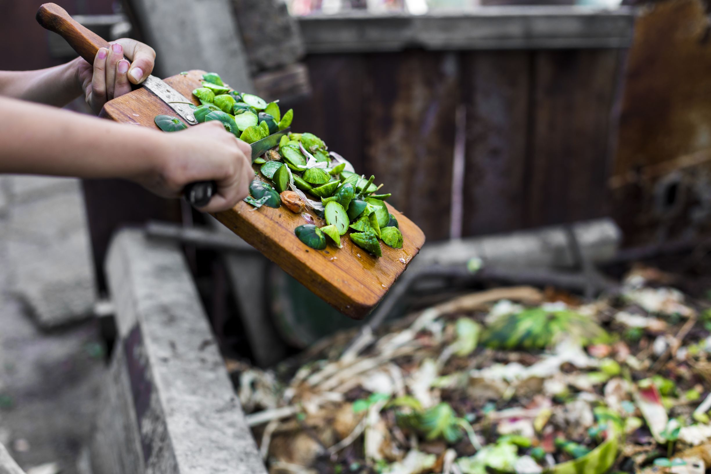 Organic waste for compost