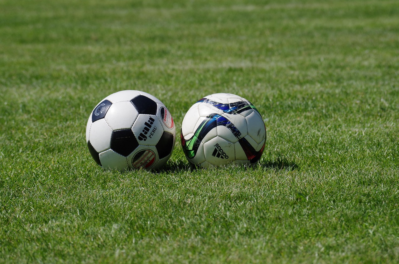 Lawn for sports 