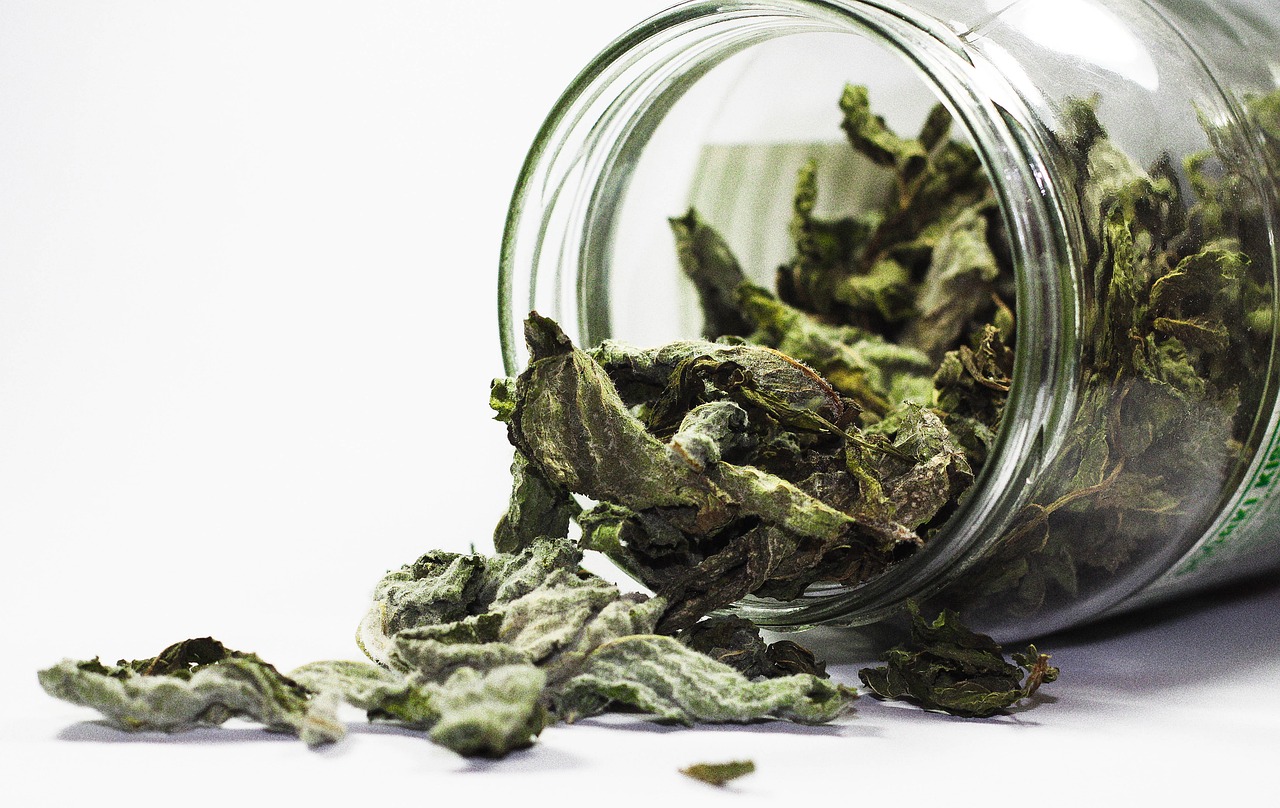 Dried mint