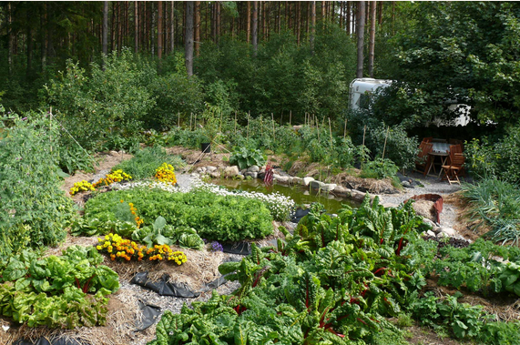 Artenreicher Garten mit Teich und Wohnwagen.