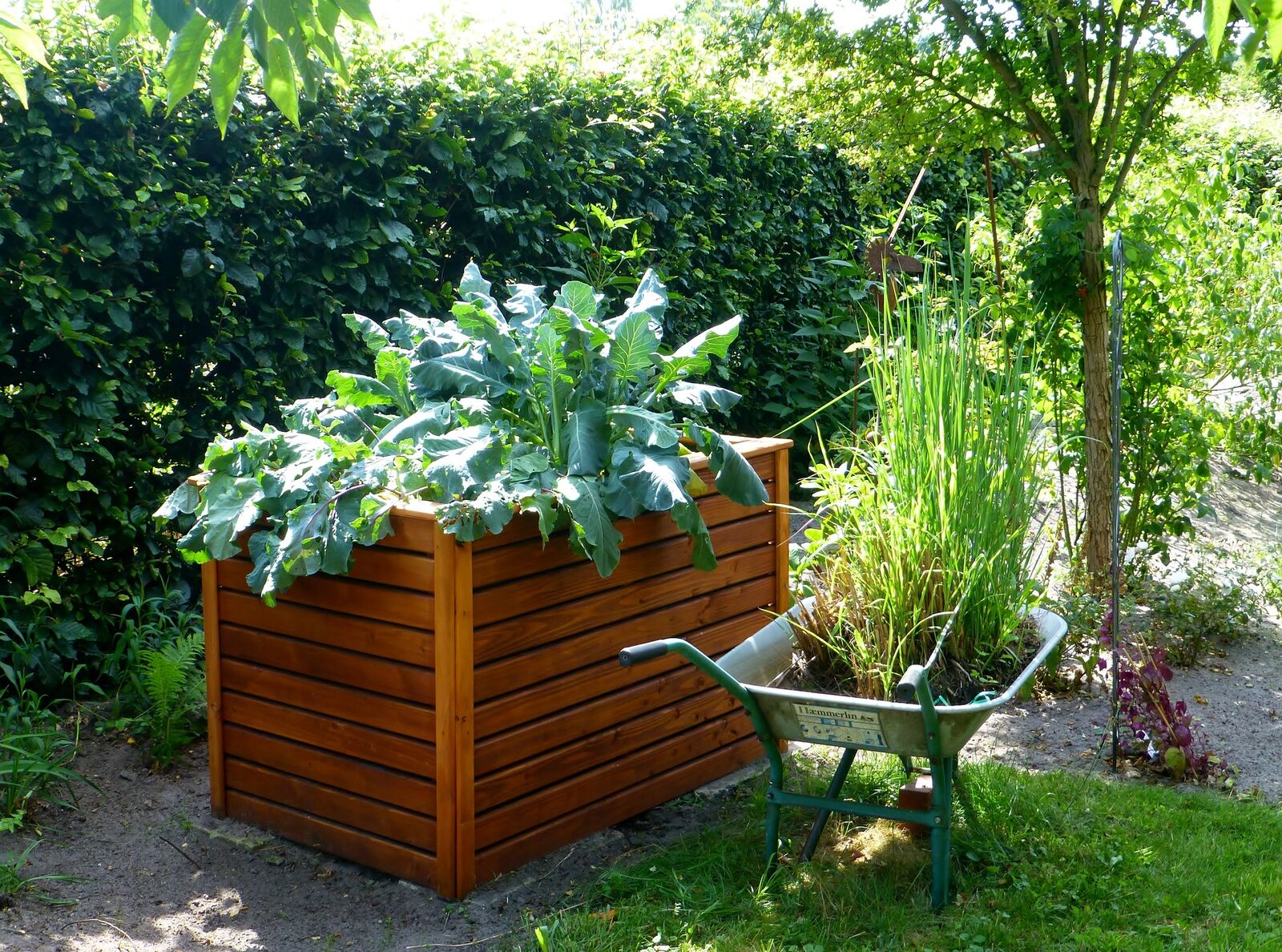 Water raised bed with Ollas