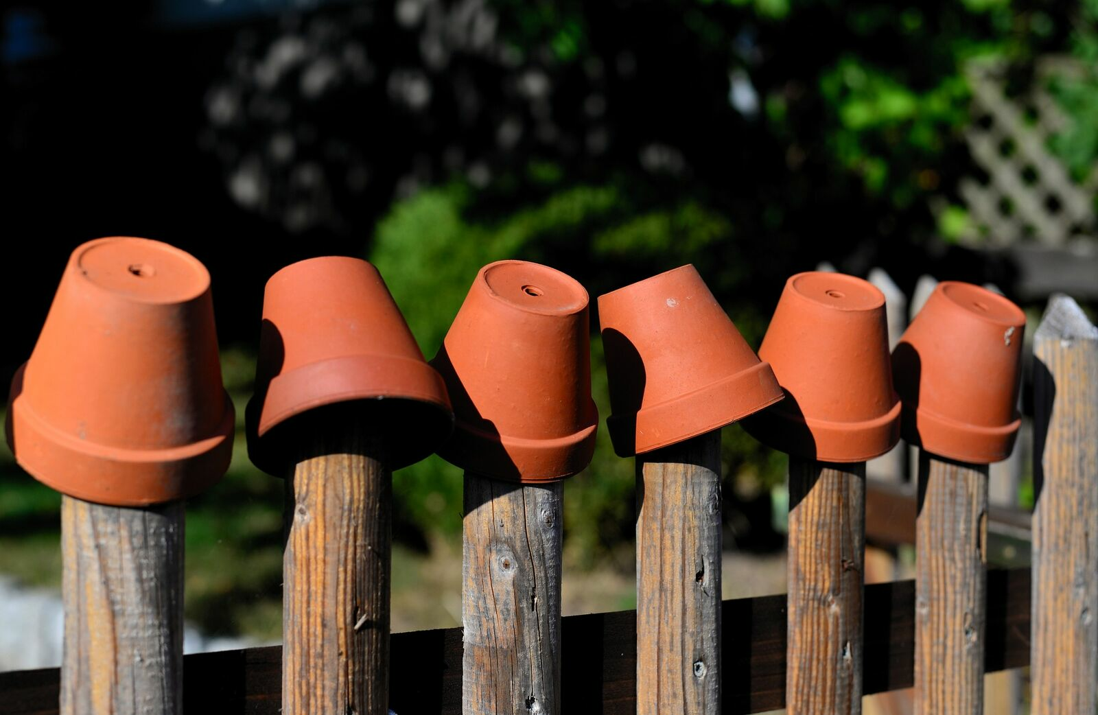 Build Your Own Ollas: Watering System for Raised Beds