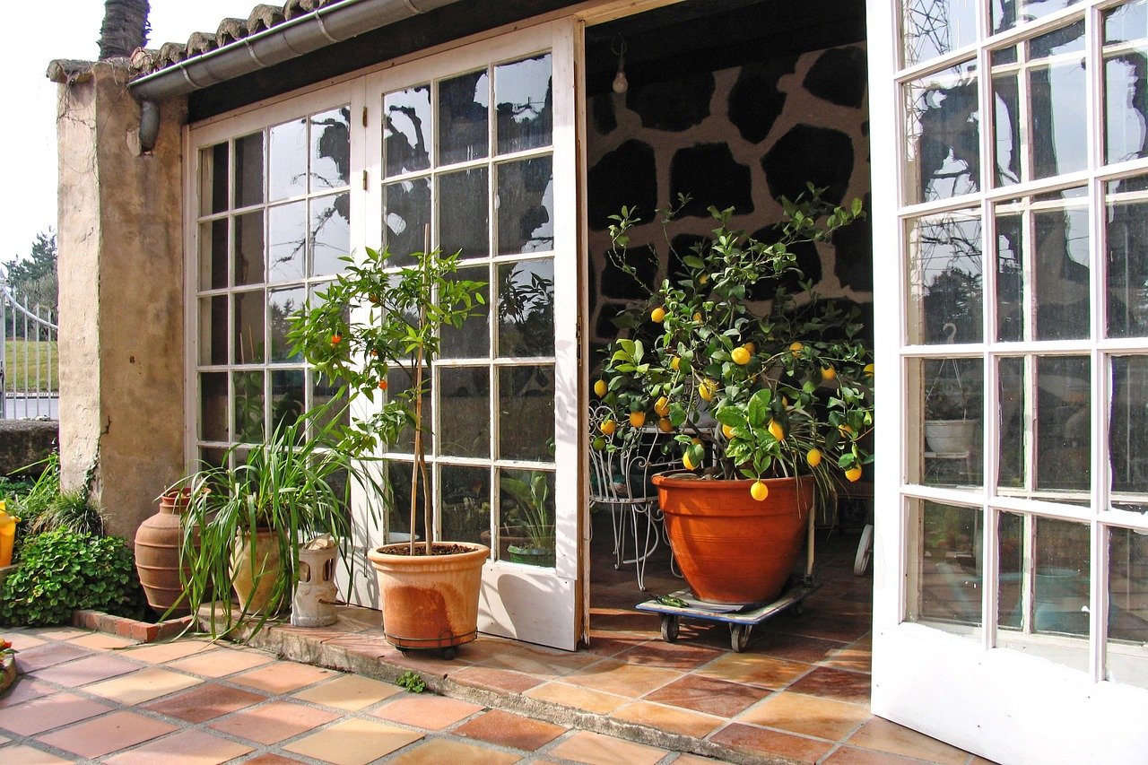 Mediterranean house with small citrus tree