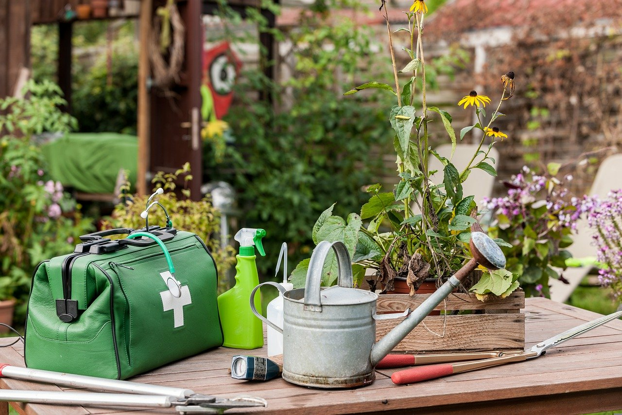 Recognizing & Combating Plant Diseases