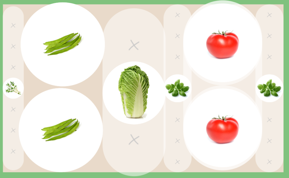 small vegetable garden layout