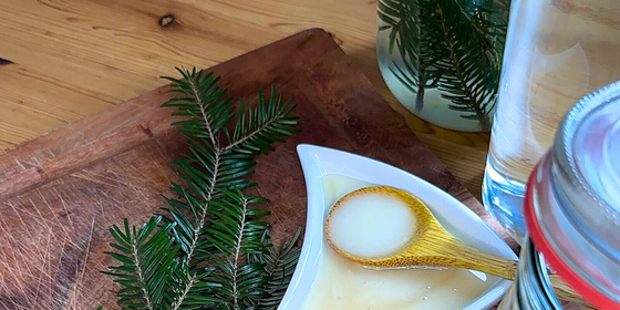 Kiefern-, Tannen- und Fichtennadeln sammeln: Tannensoda selber machen