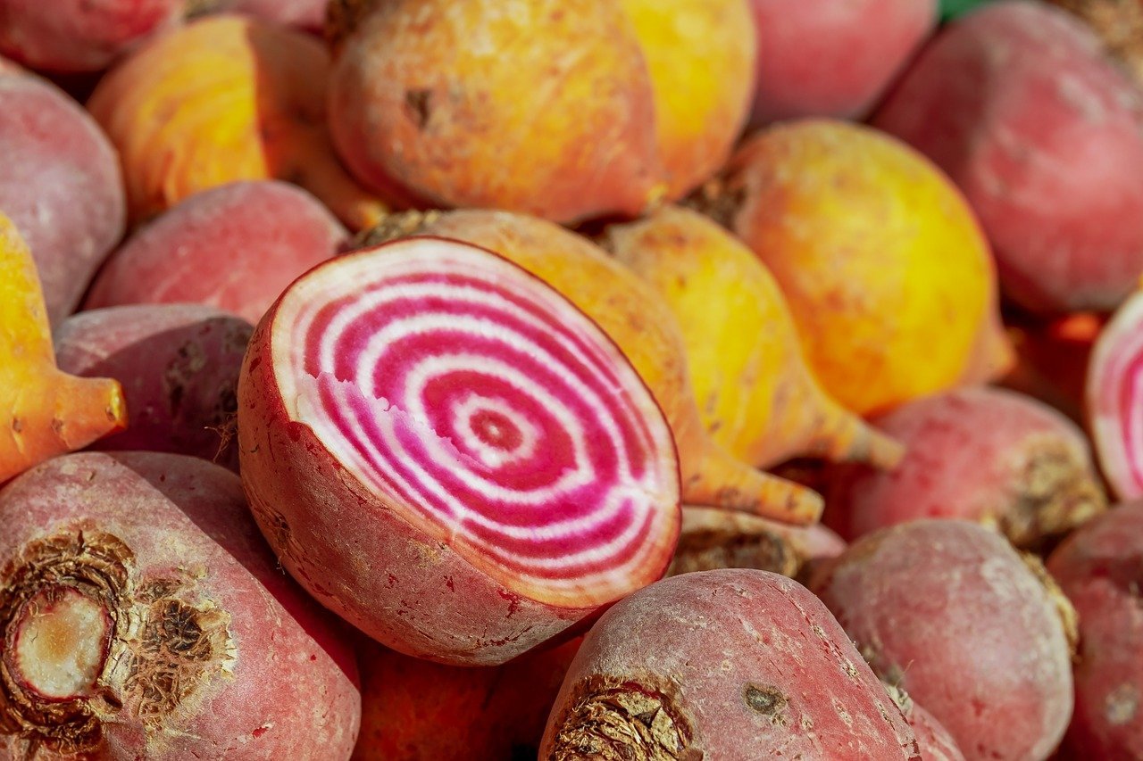 yellow beetroot variety