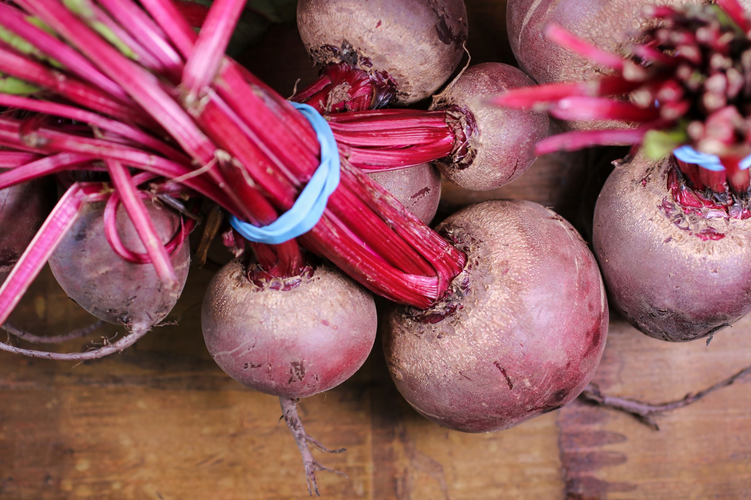 Harvested beetroot