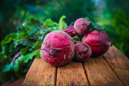 Rote Bete anbauen: Tipps für Aussaat, Pflege & Ernte