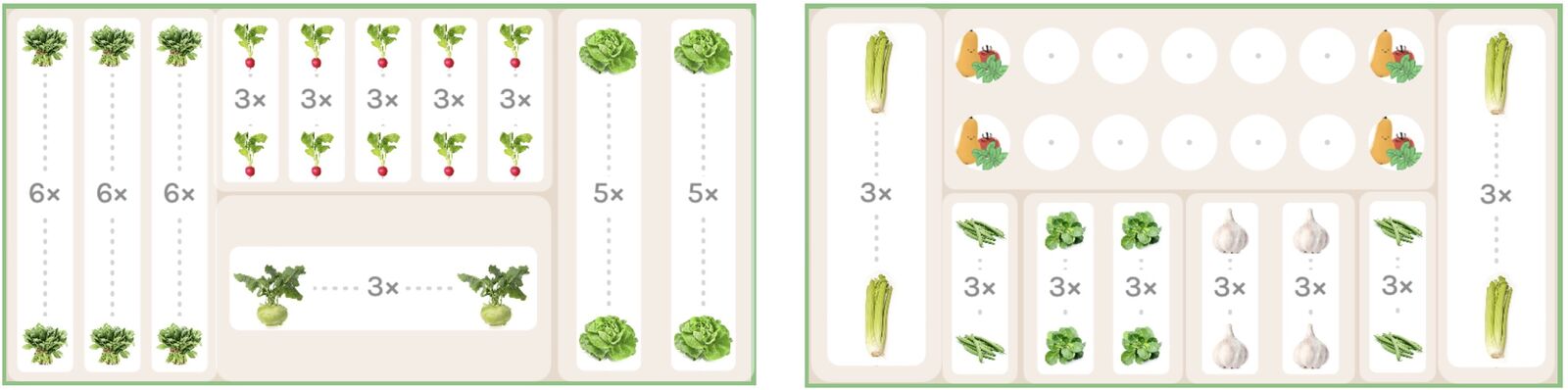 Celery mixed crop planting plan for pre- and post-cultivation