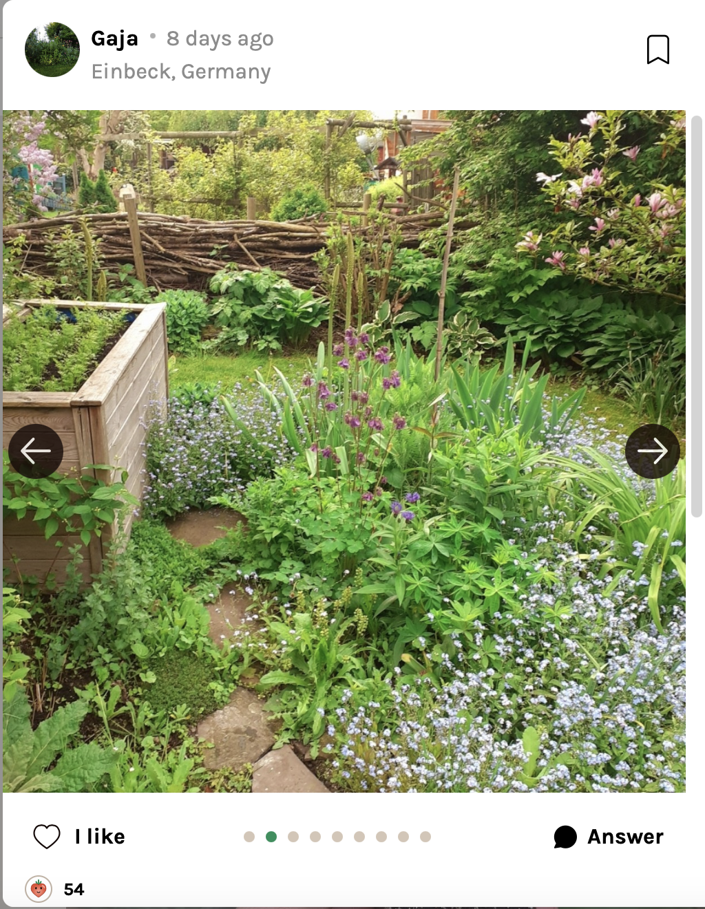Natural Garden