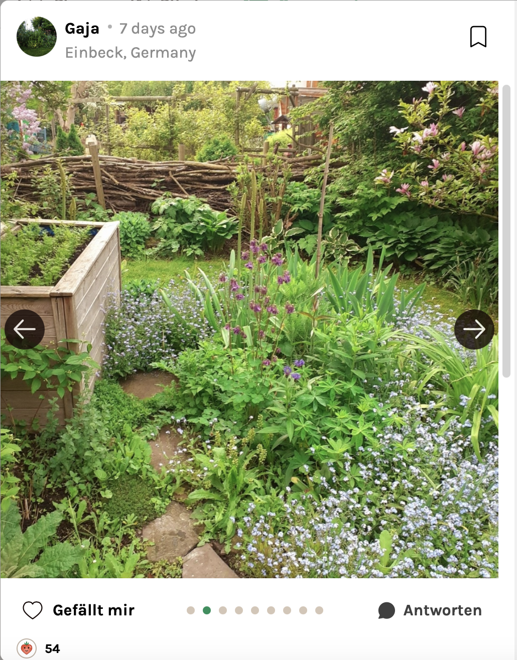 Naturnaher Garten