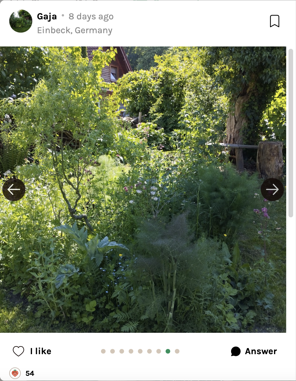 Natural Garden