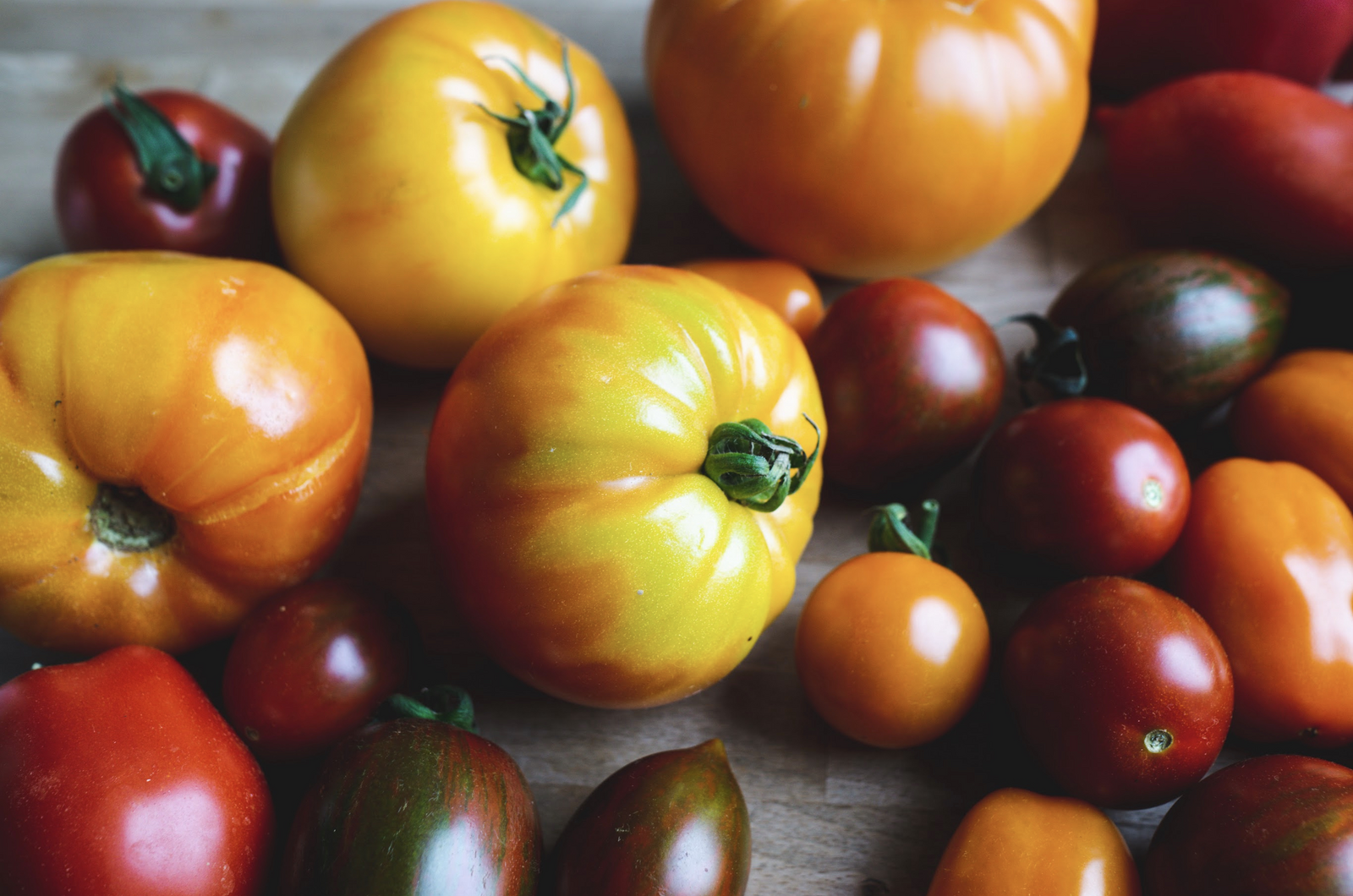 Many tomato varieties