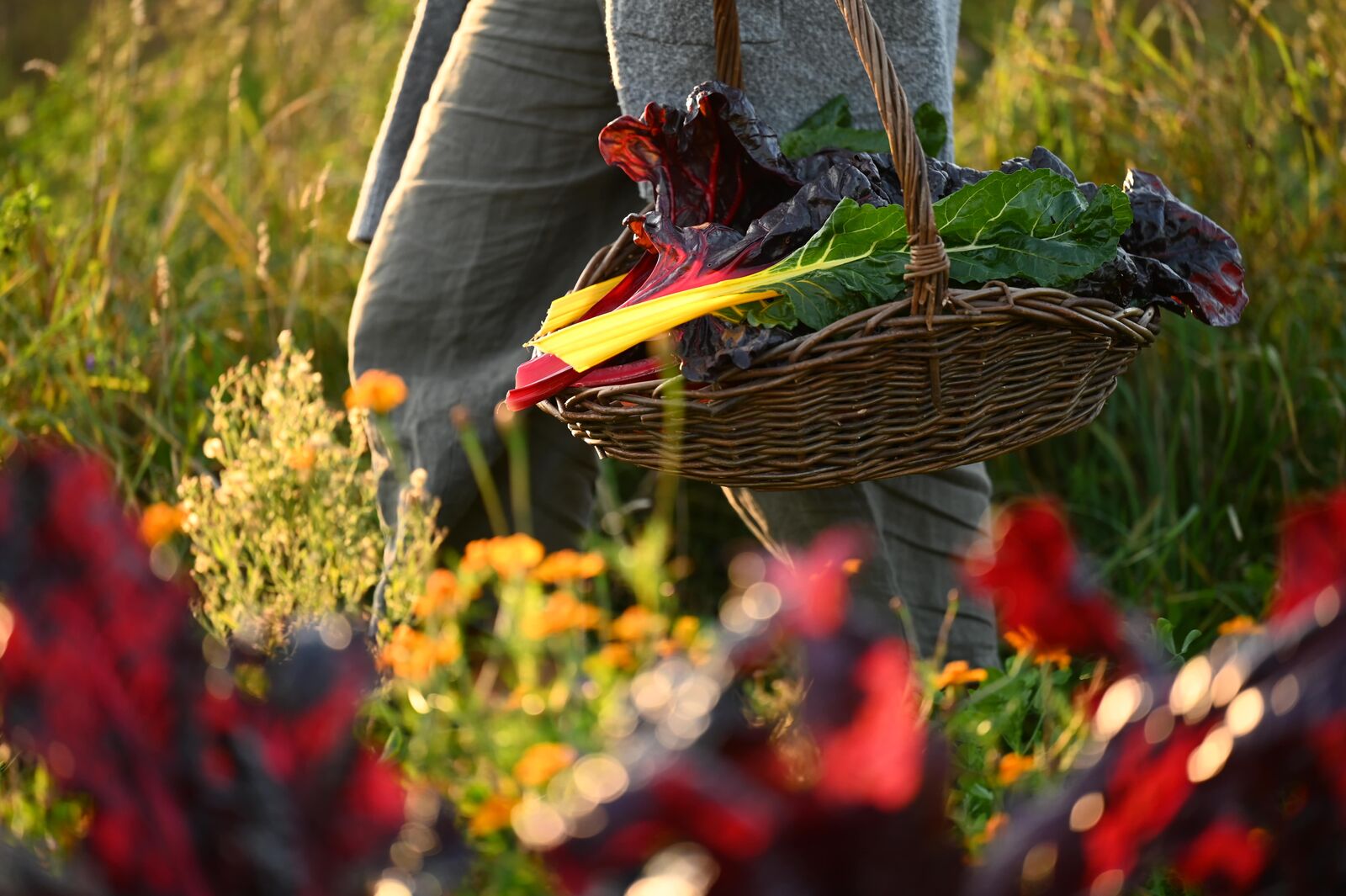 Resilient climate garden with great biodiversity