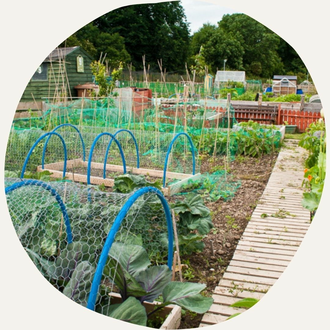 Hobby garden and citizen science