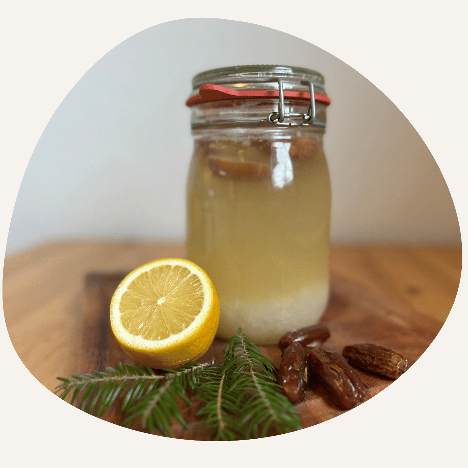 Wasserkefir herstellen 