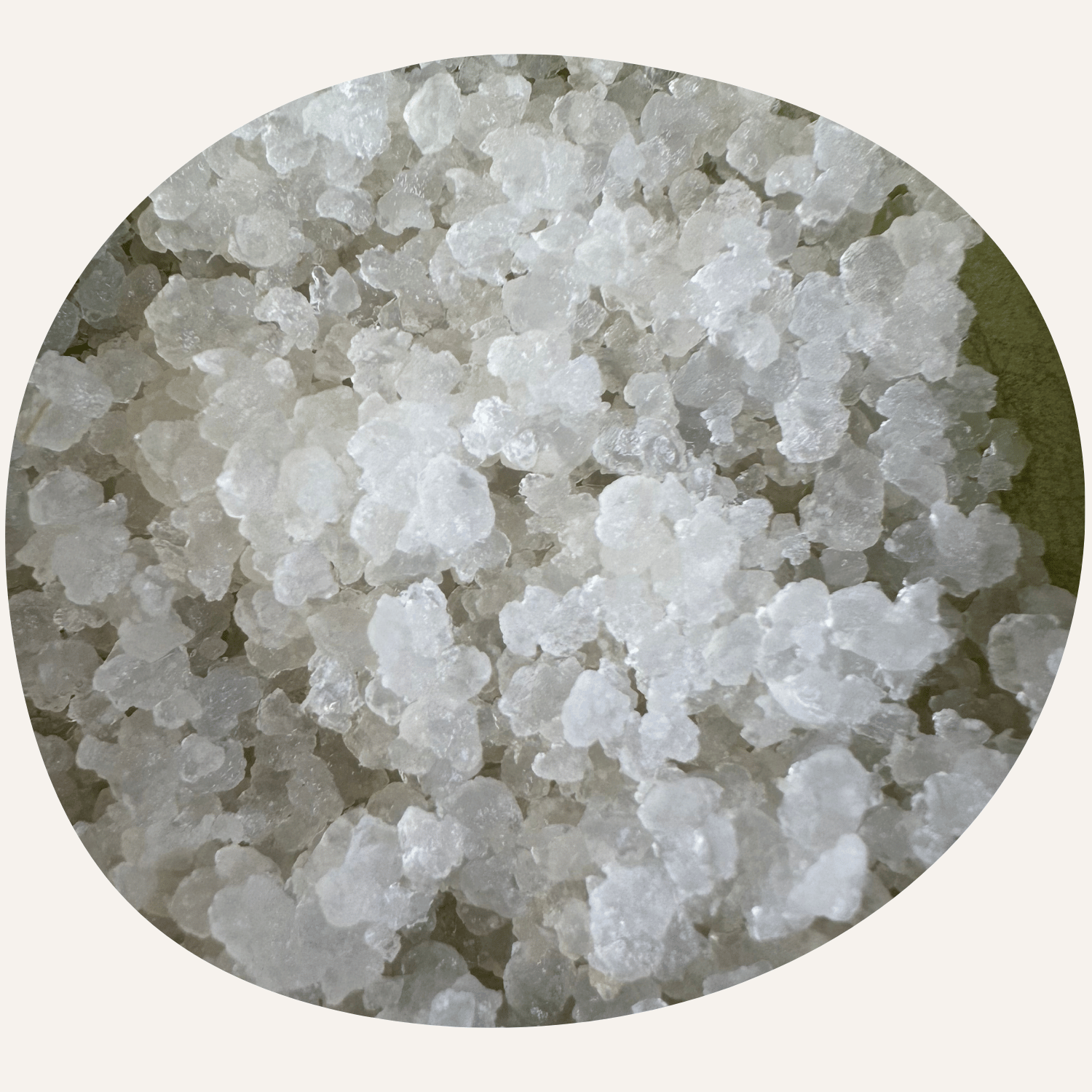 Water kefir crystals