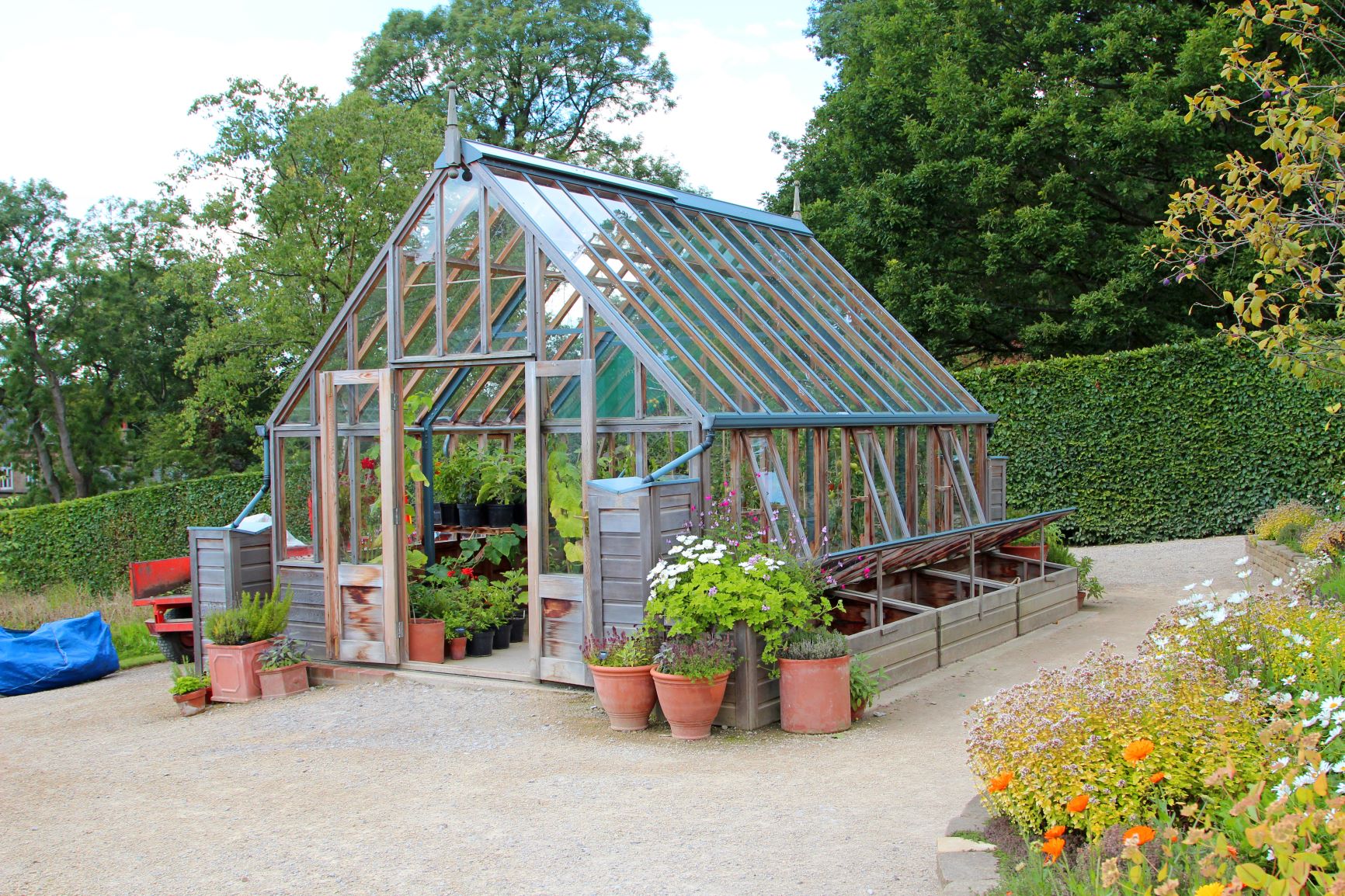 Greenhouse for winter cultivation