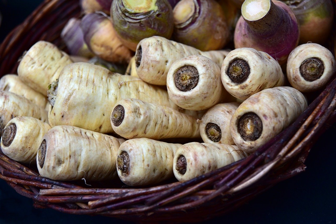 Parsnip is a good winter vegetable