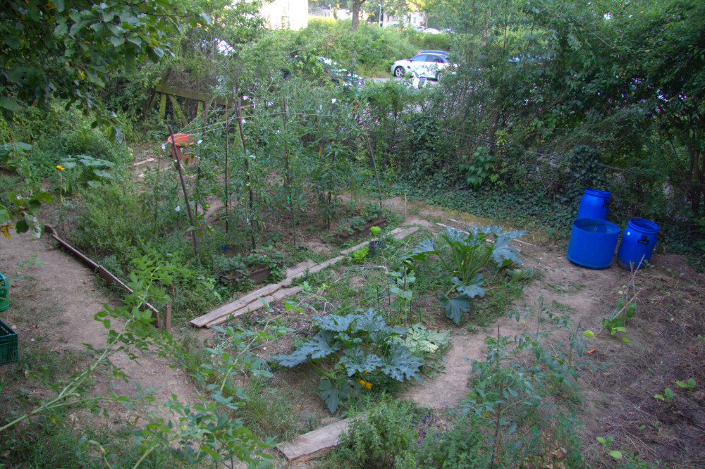 Gemüsegarten mit Tomaten, Zucchini, etc.