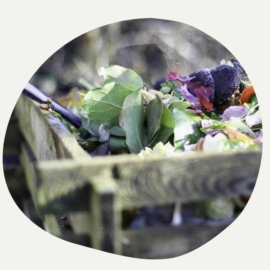 Compost heap