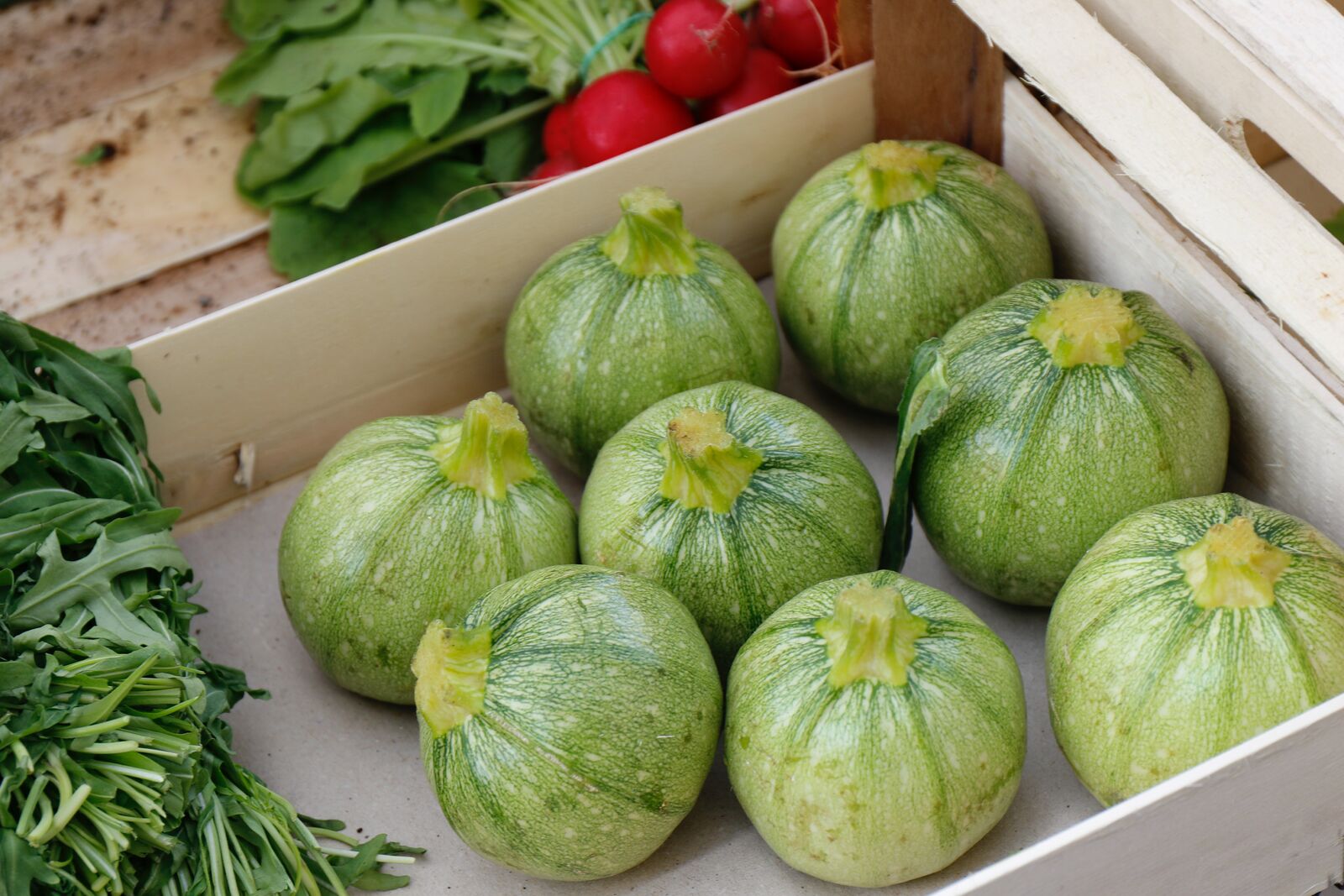 Round zucchinis