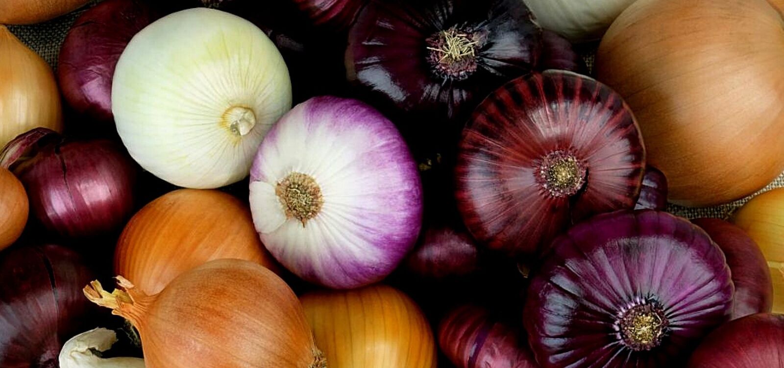 Red, white and yellow onions