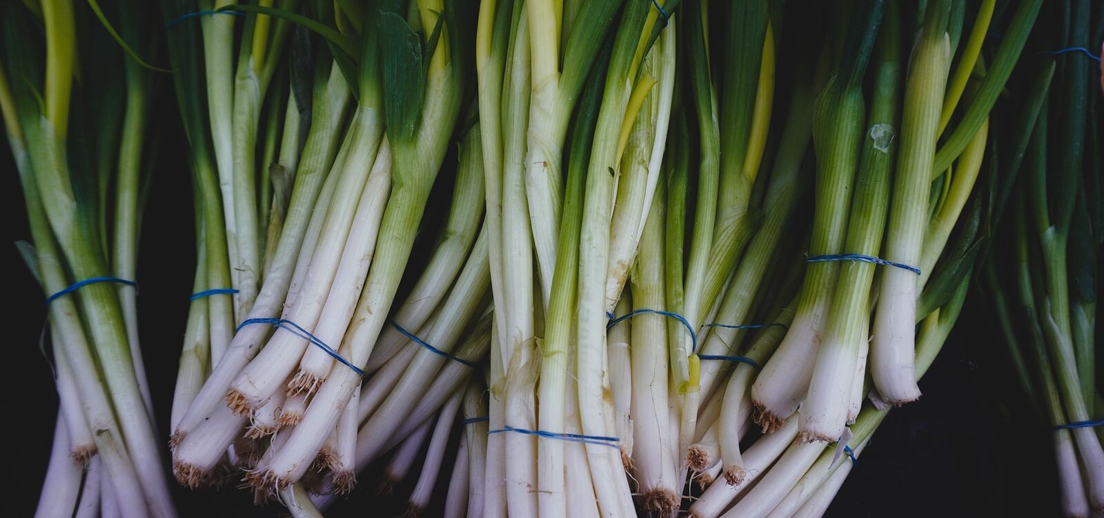 fresh spring onions