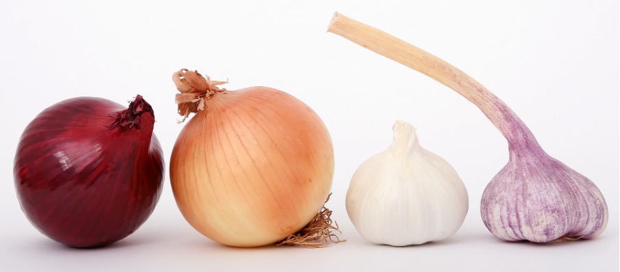Onions Garlic good neighbors