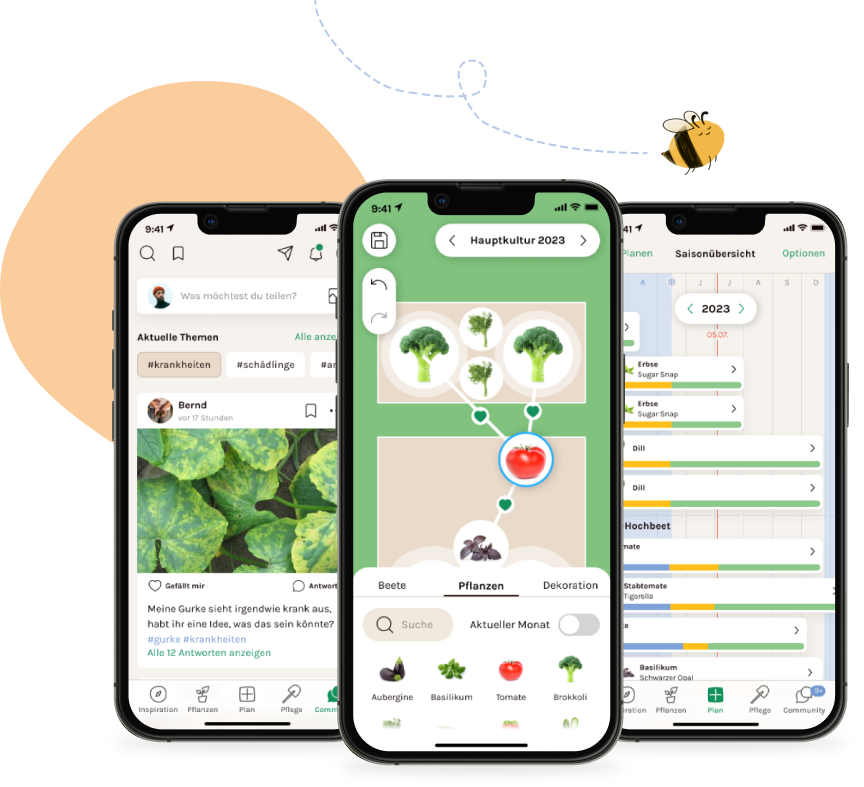 iPhones mit der Fryd App und eine Biene auf einer Flugbahn