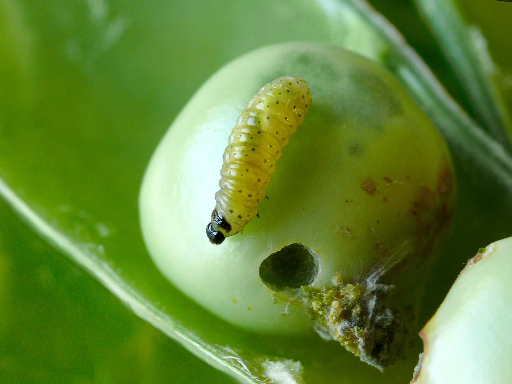 Blog Artikel Banner Bild