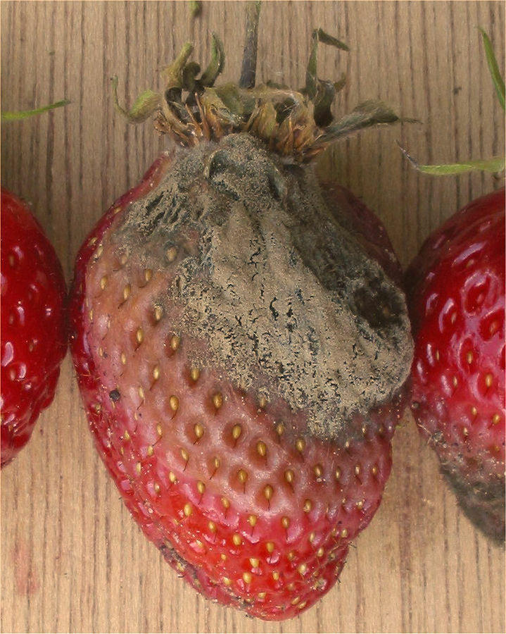 Blog Artikel Banner Bild